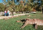 Ranger tour in New Towne
