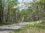 Colonial Parkway