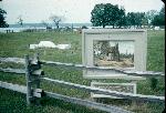 New Towne exhibits