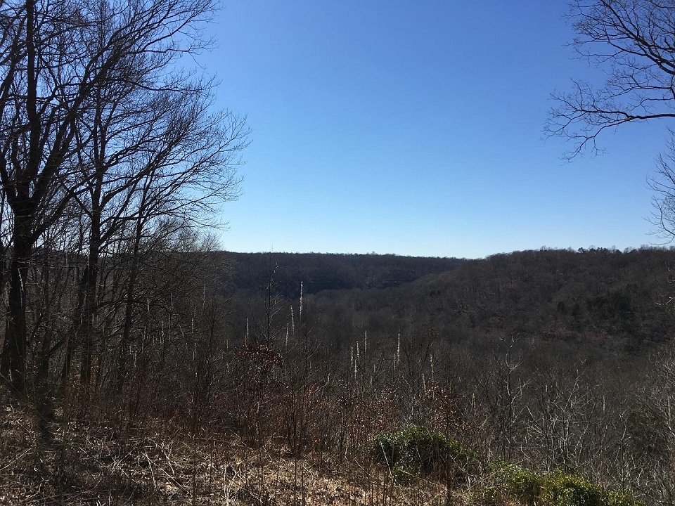 A view of a river valley and surrounding hills in the winter. The trees have no leaves on them.