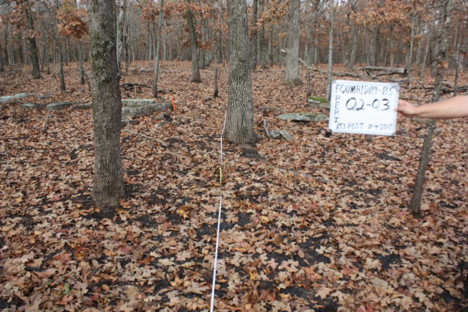 A monitoring plot in the fall after a prescribed fire.
