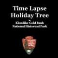 Holiday Tree Time Lapse