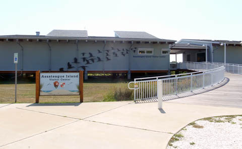 Recreation Gov Recreation Area Details Assateague Island