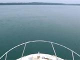 ON THE WATER...