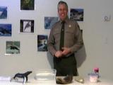 The Baleen Sweep