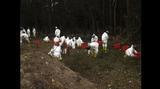 The Criminal Investigation