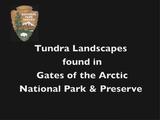 Tundra Landscapes 