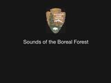 Sounds of the Boreal Forest