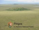 Pingos