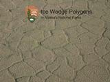 Ice Wedges