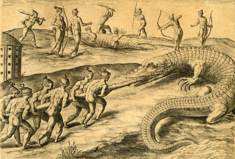 engraving depicting 6 men shoving a pole into the mouth of a crocodile like creature