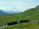 two green buses on a grassy hill with people standing outside taking photos