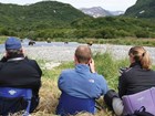 three people sit observing brown bears in the distance