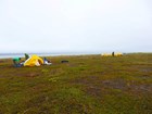 people near two yellow tents in a tree-less expanse of tundra
