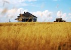 Single story square building in the distance partially obstructed by a field of golden grass. 