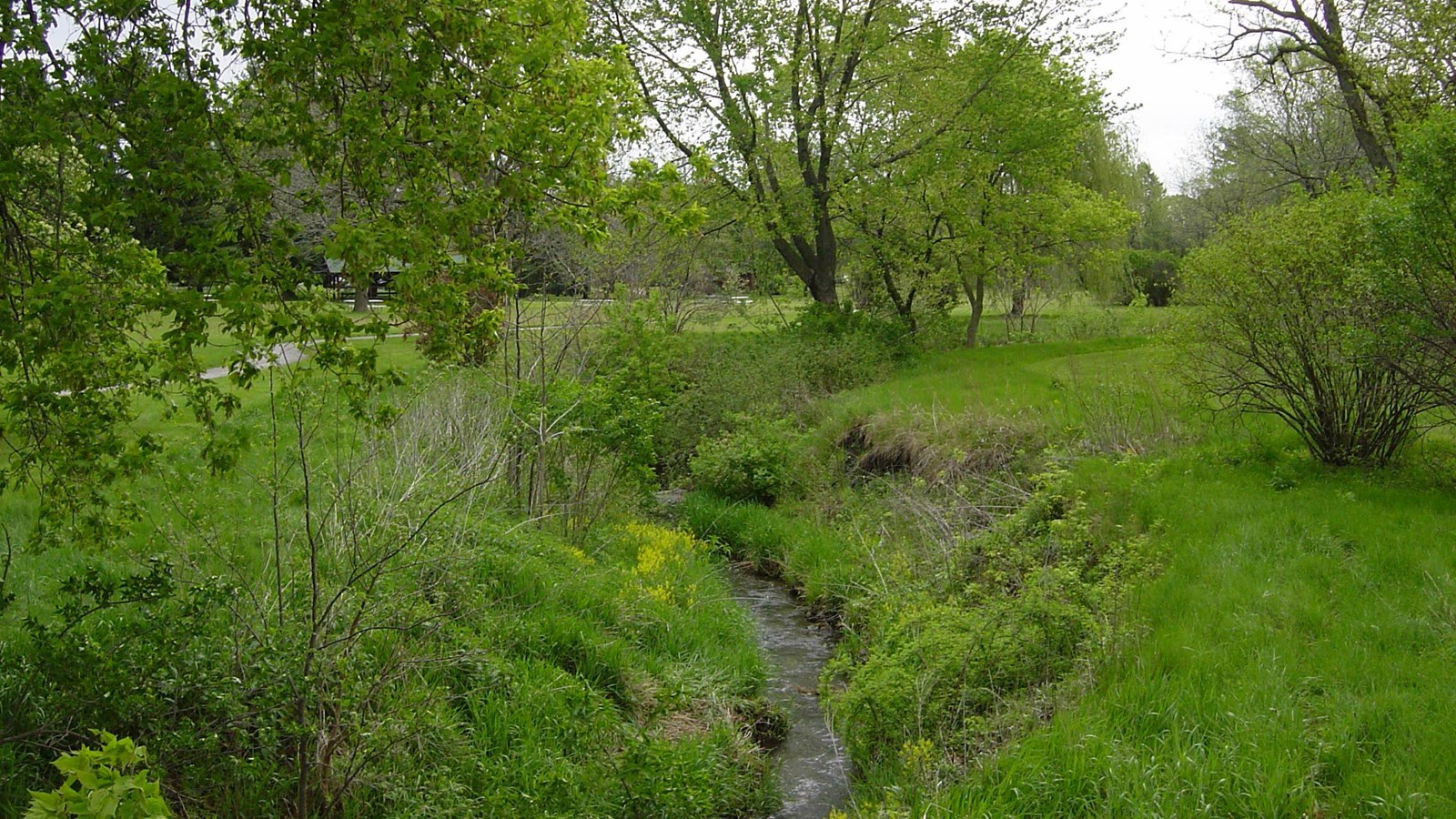 A small creek winds through the channel it cut through a park landscape.