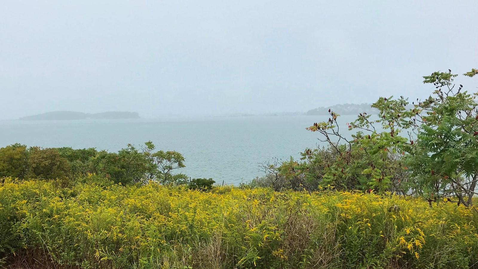 View of the Boston Harbor standing on green grass on Bumpkin Island