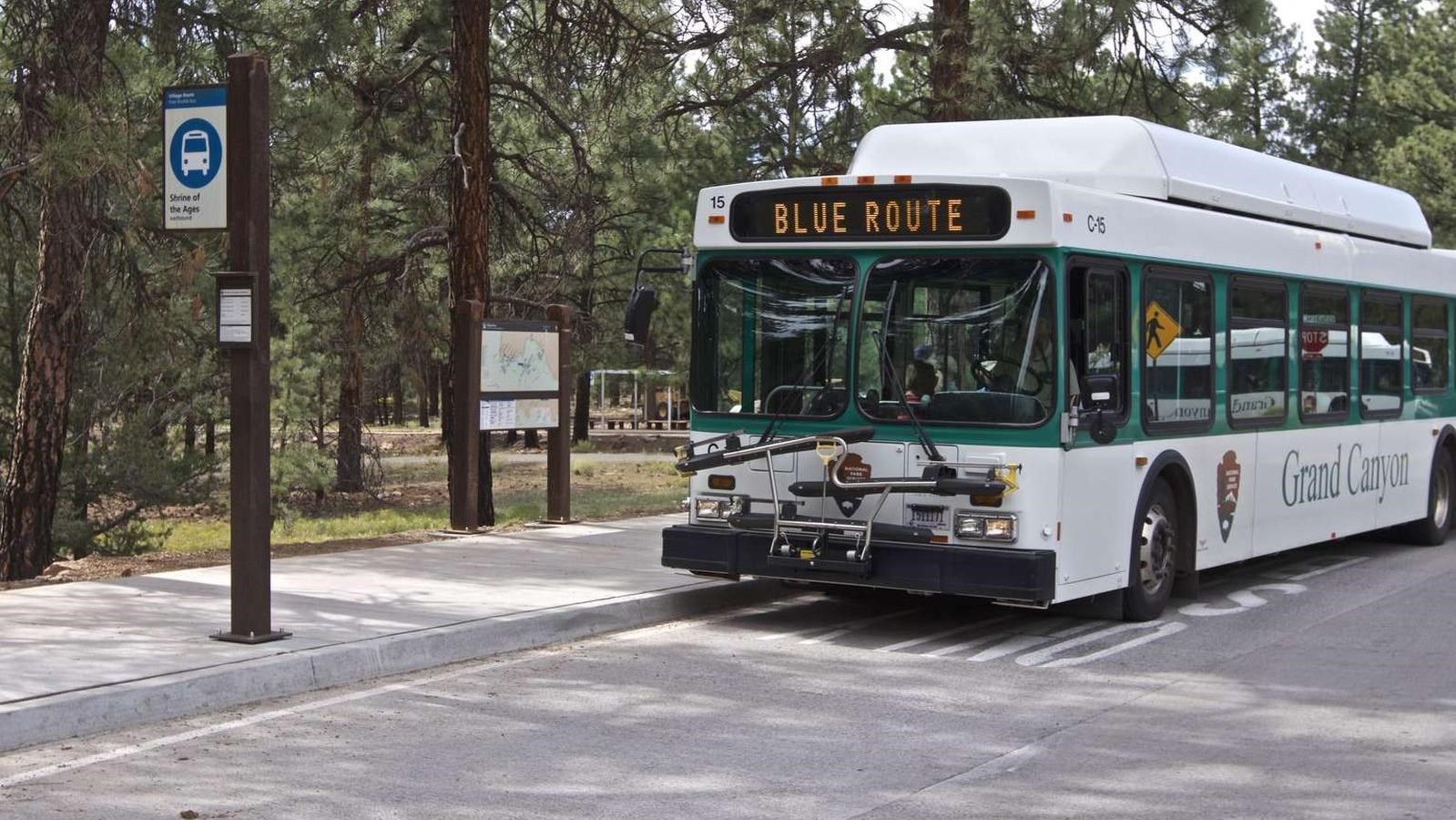 A large white bus pulls up to an open air shuttle stop in front of large pine trees