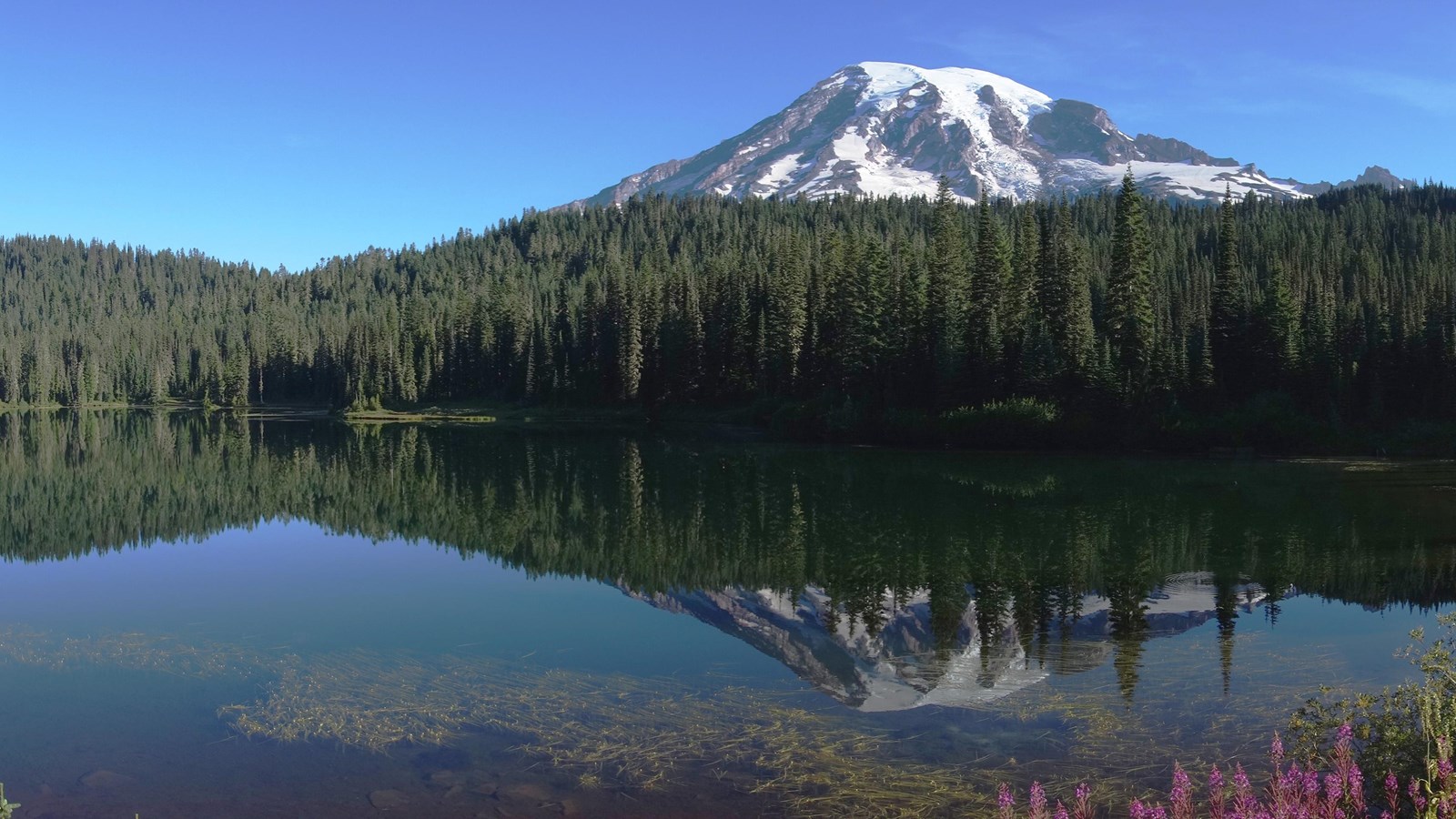 A glaciated mountain and forested slopes reflected in a still mountain lake. 