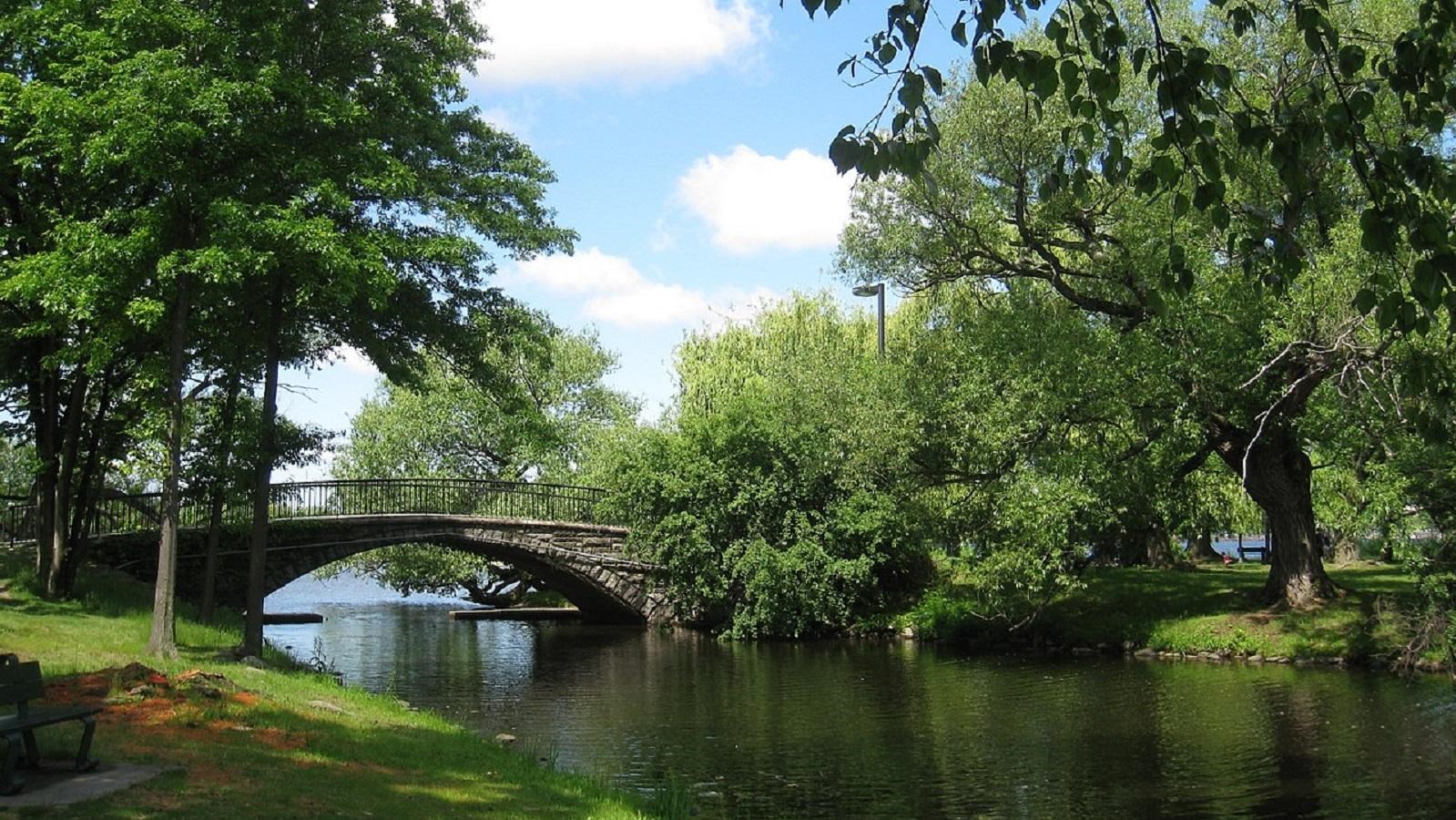 Bridge over waterway surrounded by greenery. 