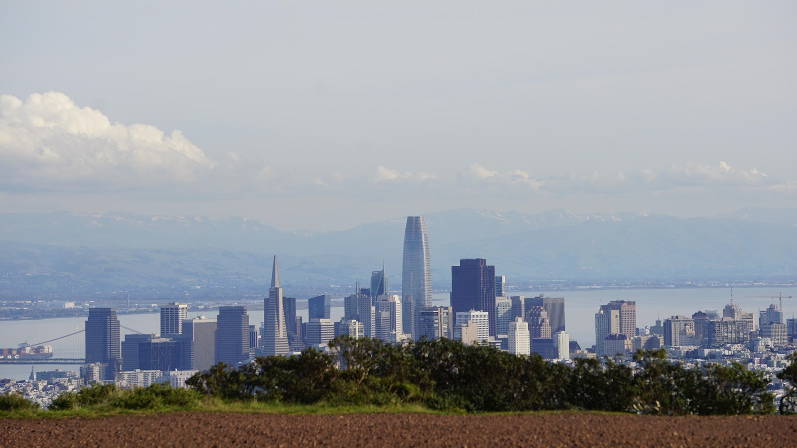 The San Francisco city skyline from behind the top of a trail. 