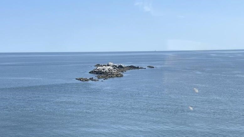 Image of rocky outcropping from Little Brewster Island. 