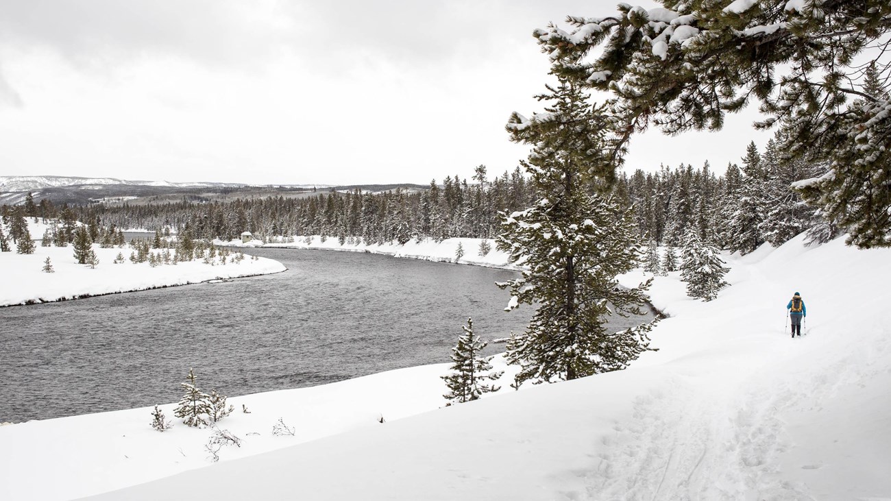 A lone skier makes their way along the Madison River on the Riverside Ski Trail.