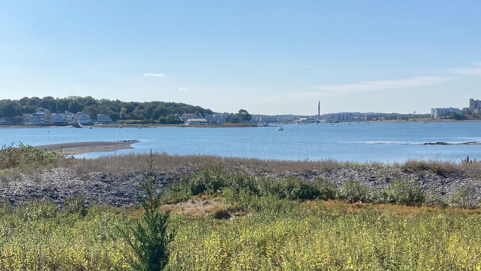 Looking out into the harbor, the Hingham skyline in the distance and the foreground has green  grass