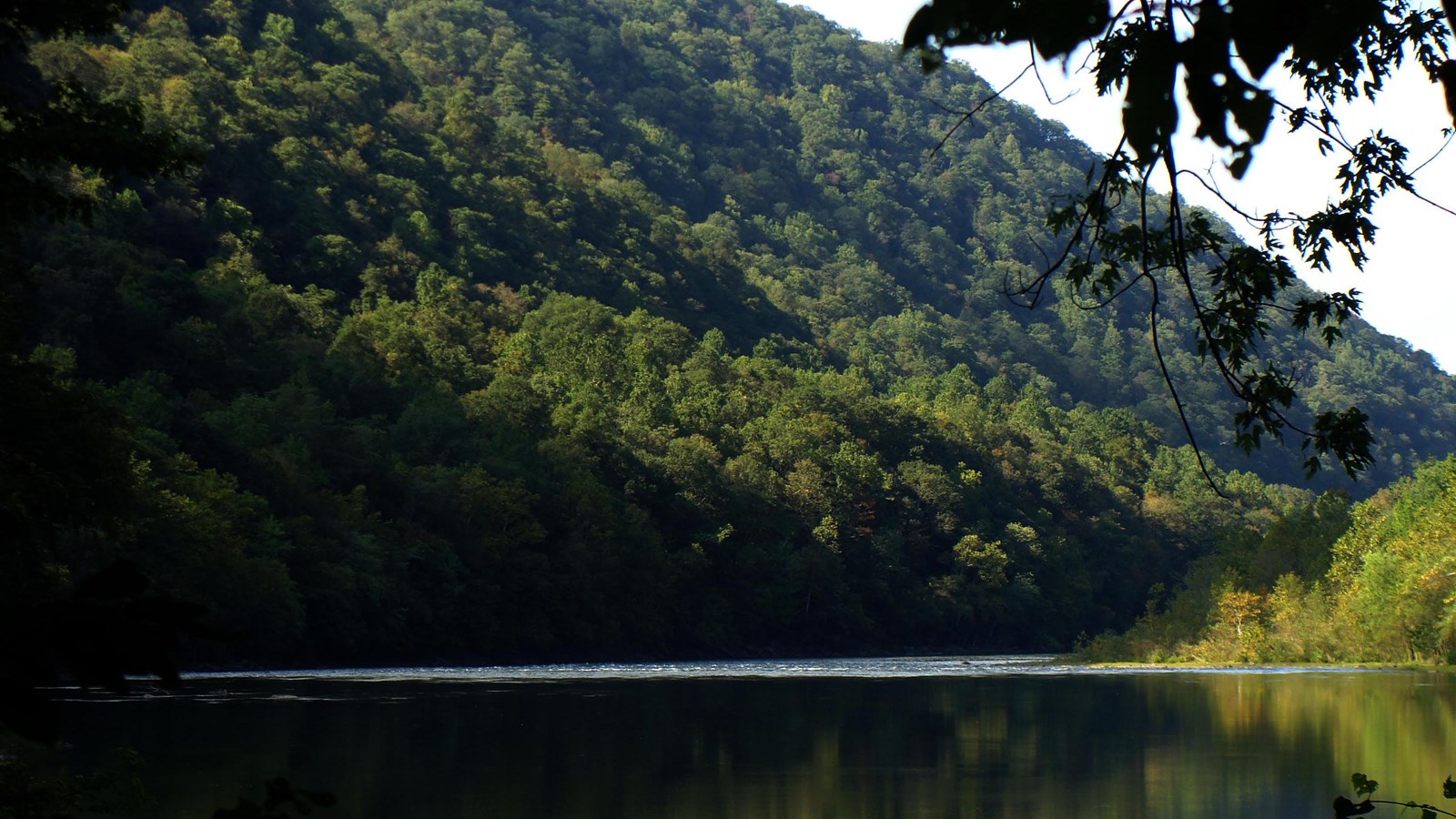 A view of river with trees and gorge