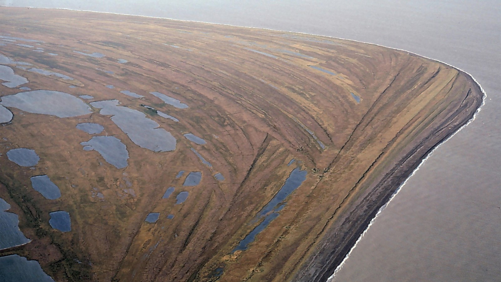 Aerial view of a cape with many beach ridges and pools of water