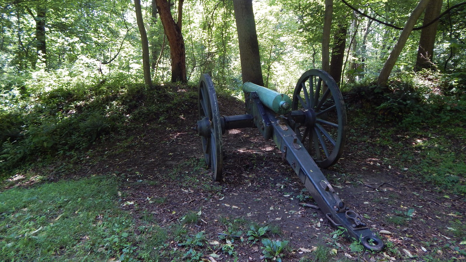 Cannon at Fort Marcy Park. Trees and bushes in the background.