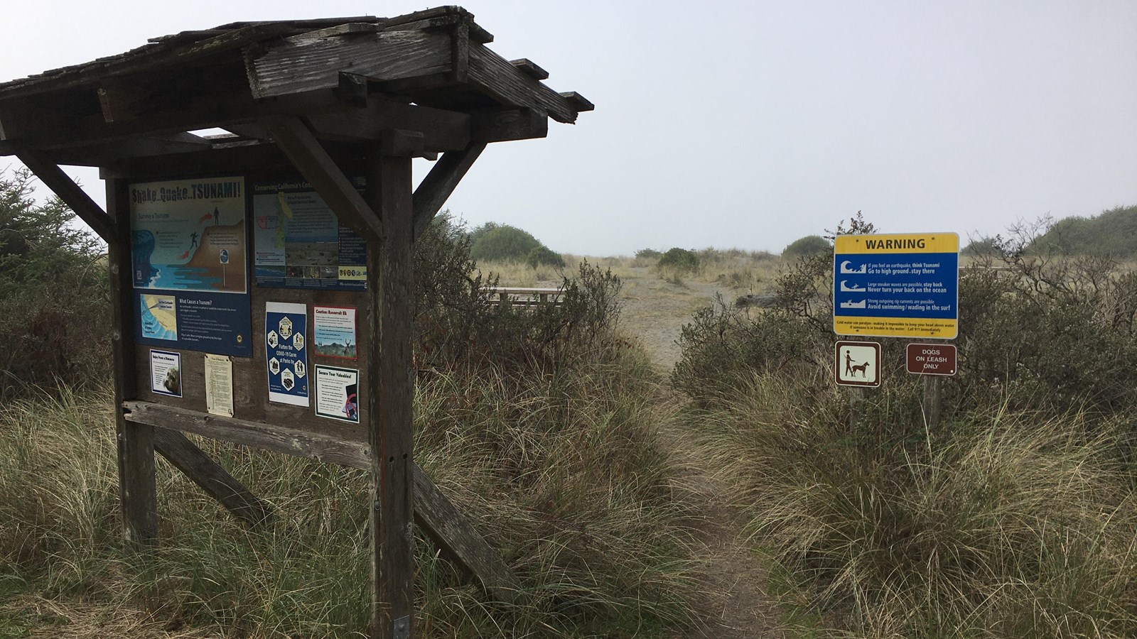 A brown, wooden information sign and safety signs are on grassy dunes.