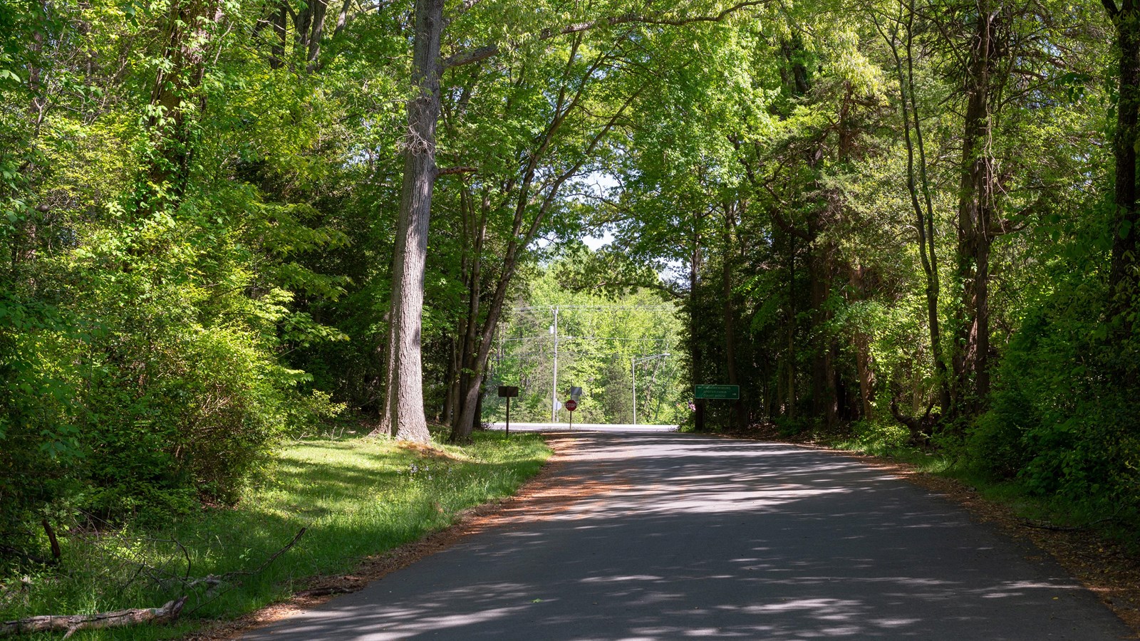 A road lines with trees leading to a highway.