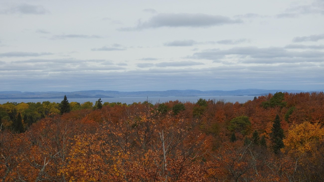 View from ridgetop with trees in fall foliage, Lake Superior, and the Canadian shoreline. 