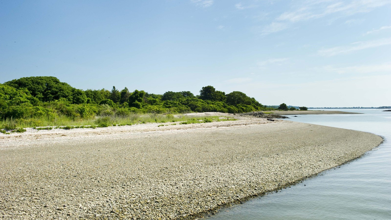 A long flat, small-pebble shoreline with trees and shrubbery moving inland.