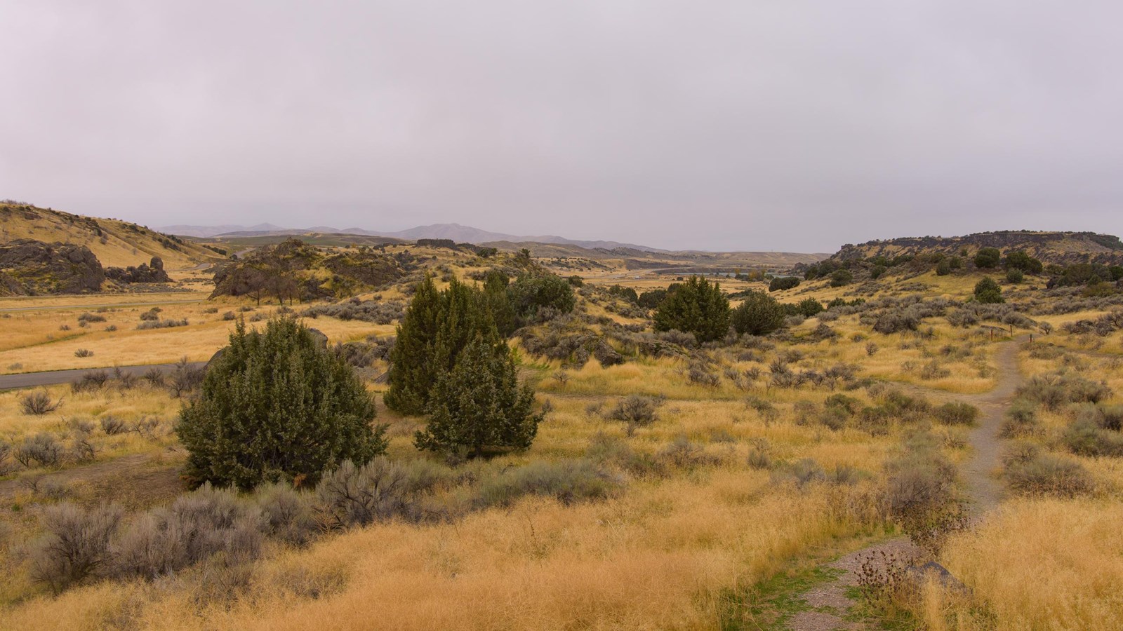 A path leads through a grassy area dotted with shrubs under a cloudy sky.