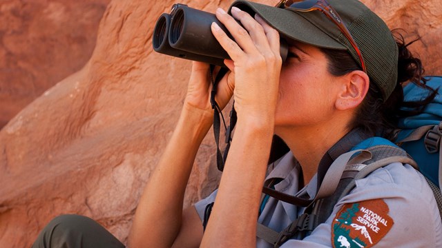 Employee raptor monitoring at Arches NP