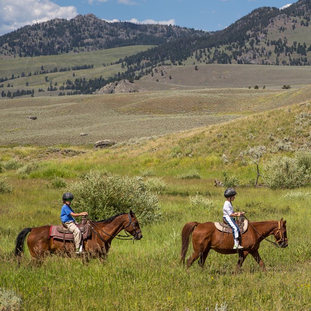 Children on horseback riding through a green valley