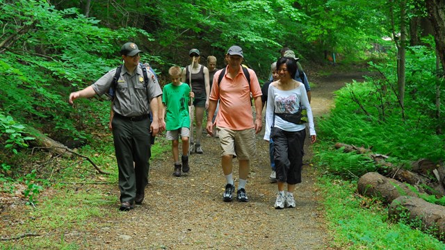 A ranger leads hikers on a forest trail.