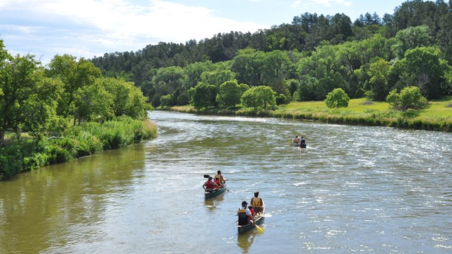 Three canoes containing people on a river lined with prairie and forest. 