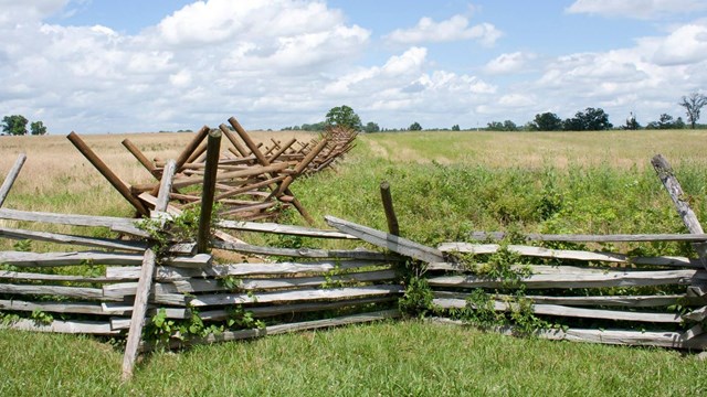 A gray wood fence separates a grassy field from crops.