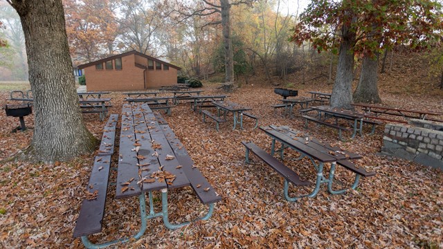 Picnic tables on a fall day