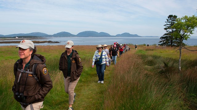 people walk down a grass trail with a large island in the distance