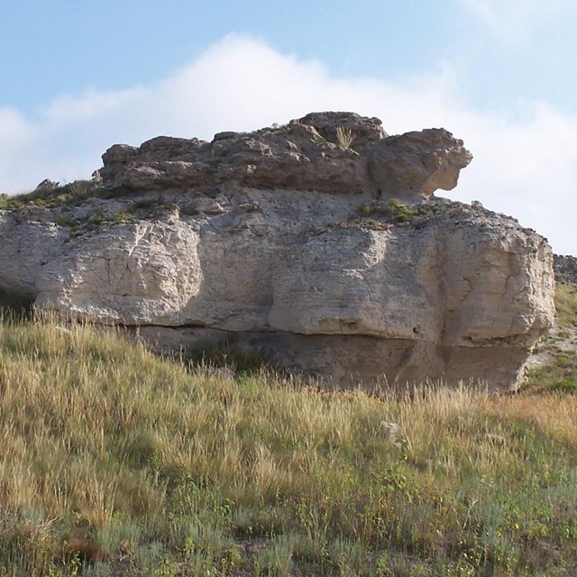 Whitish-gray, irregularly-shaped boulder sticks out from the side of a brown, grassy hill.