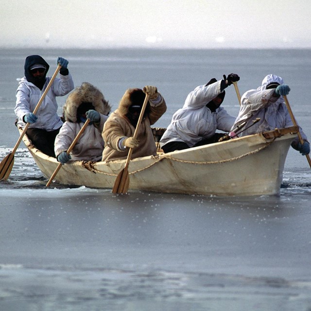 An image of 5 people in an umiak (skin boat) paddling across frozen water.