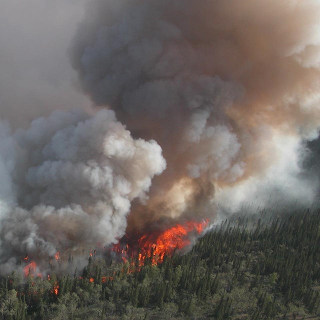 A wildfire rages through the timber in an Alaskan mountain range.