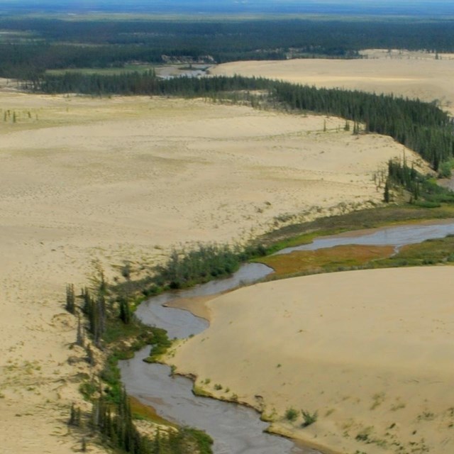 The Great Kobuk Sand Dunes