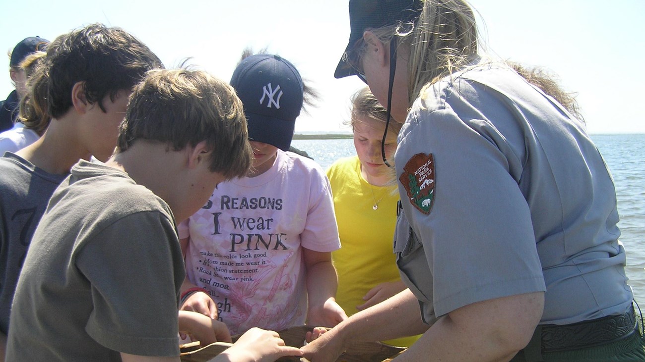 Ranger and students collecting organisms on the marine explorers program.