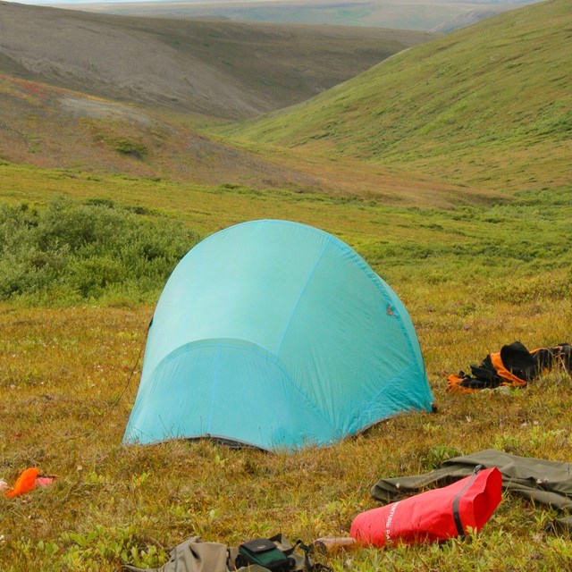 A blue tent looking over rolling tundra hills.