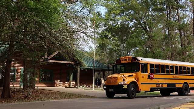 A big, yellow school bus arrives at the Big Thicket Visitor Center